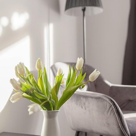 Deluxe Apartments 55 クランスカゴーラ エクステリア 写真
